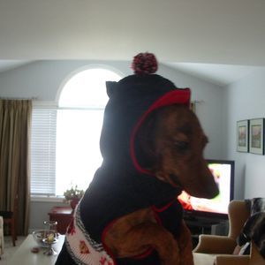 Meet your Posher, Nancy